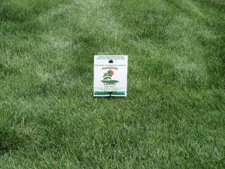 Ideal Mowing Height for Different Grasses TurfGator