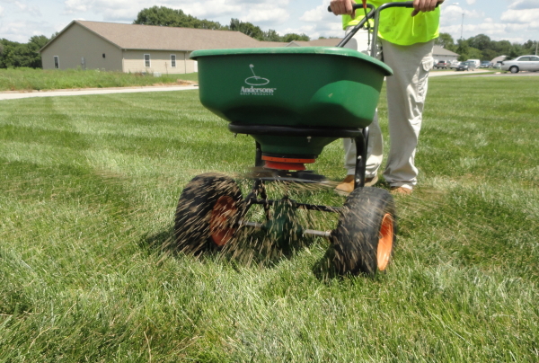 Overseeding a lawn with a push spreader