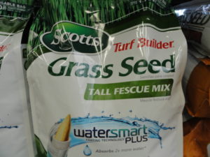 Scotts Turf Builder