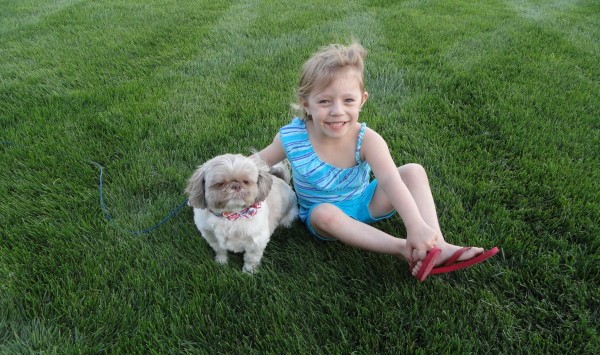 Lawn care concerns when it comes to child and pet safety - TurfGator