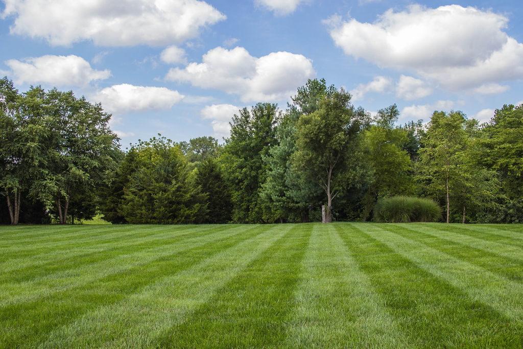 Resilient Lawns for Metro East Families