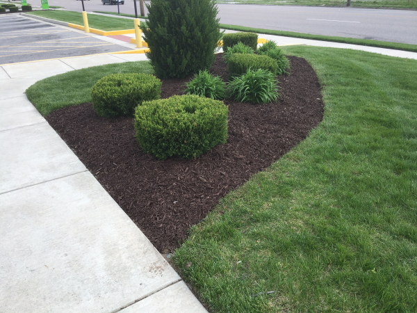 Image of a mulch installation